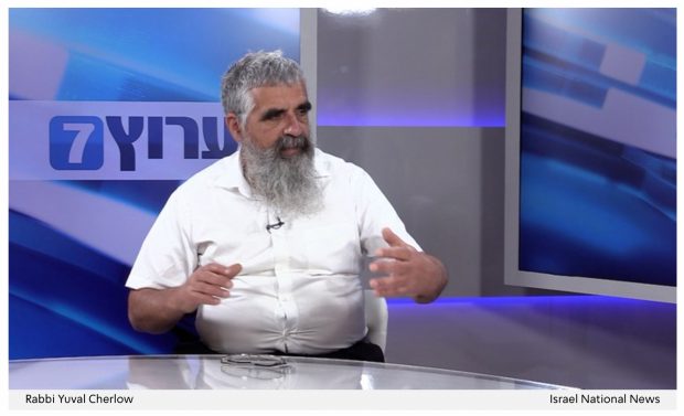 Rabbi Yuval Cherlow weighs in on the 'Sarco' suicide capsule